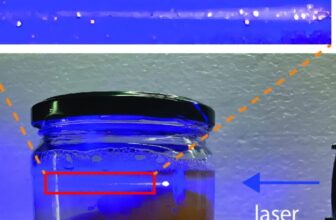 Edible Microlasers Might Revolutionize Meals Monitoring and Security