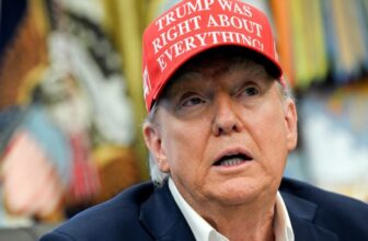 Here is What TikTok Below American Possession Would possibly Look Like