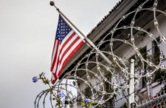 After a Difficult Authorized Previous, AI Set Her Free