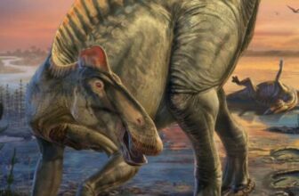 Uncommon Dinosaur ‘Mummies’ Present Their Options as We have By no means Seen Them Earlier than