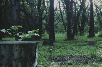 Hideo Kojima’s ‘P.T.’ Demo is Serving to Japanese Children Be taught English