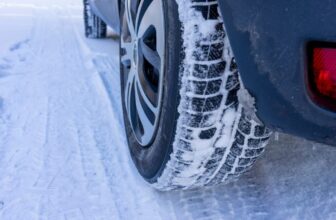 A Wobbly Polar Vortex Might Make for a Bitter Thanksgiving Throughout A lot of the U.S.