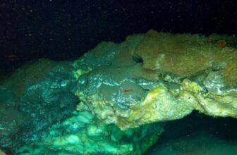 Scientists Discovered the Deepest Identified Arctic Vent—and It is Teeming With Life